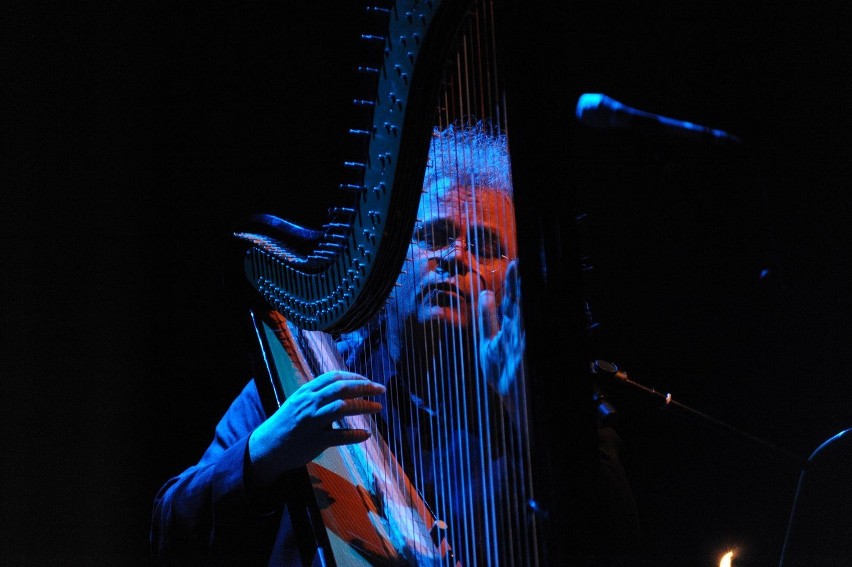 KONCERT - Mistrz harfy Andreas Vollenweider zagrał w Poznaniu