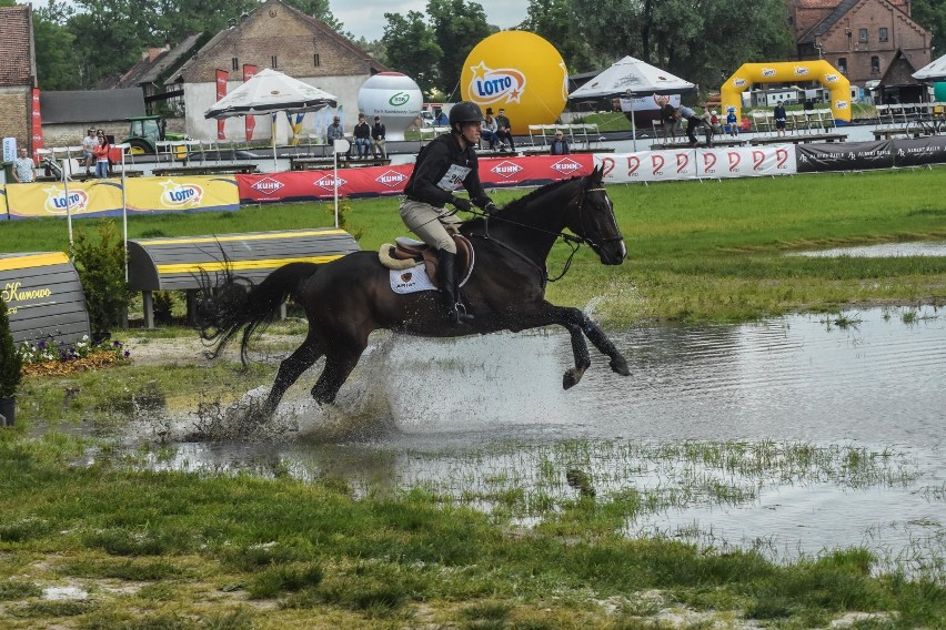 Trwa międzynarodowy Festiwal Jeździecki Baborówko [ZDJĘCIA]