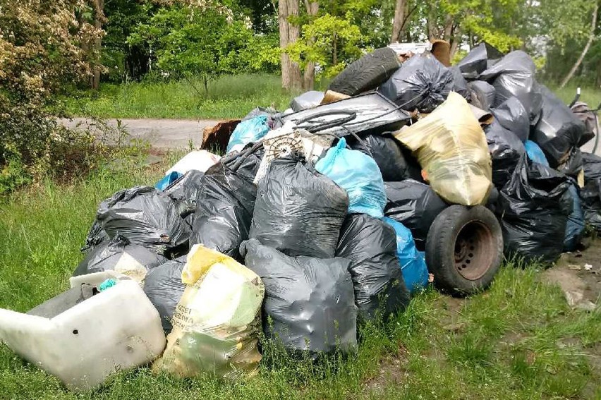 Pierwsza akcja sprzątania Czyżkówka i lasu miała odbyć się...