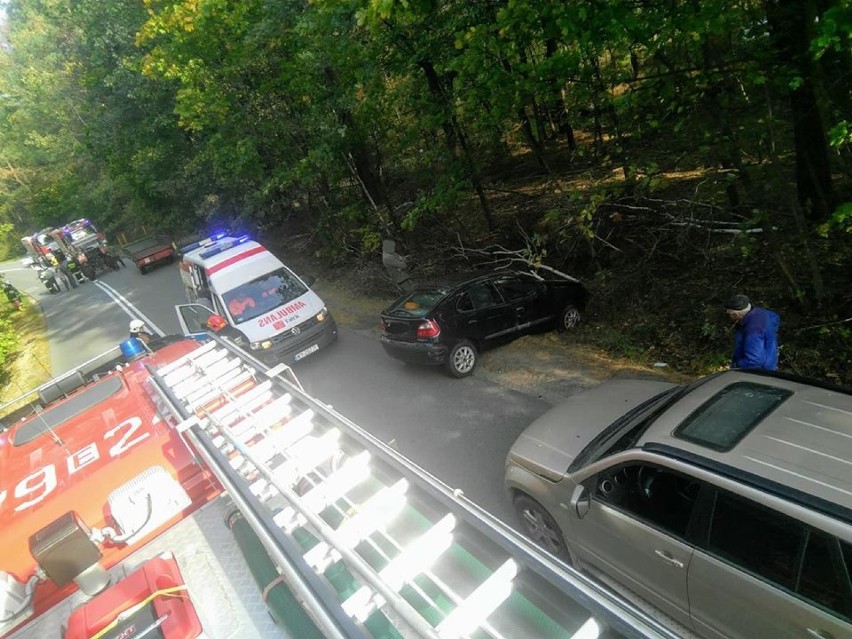 Wypadek na drodze między Alfonsowem a Dąbrową pod Paradyżem w powiecie opoczyńskim