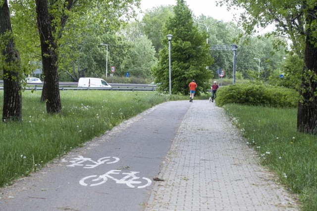 Najdłuższa ścieżka rowerowa w Warszawie liczy aż 37 kilometrów. Prawdziwa "rowerostrada" znajduje się tuż nad Wisłą. Jak dokładnie przebiega? 

Trasa biegnie z północy na południe przez całe miasto i łączy punkty rekreacyjne takie jak:
Puszcza Kampinoska - ze ścieżkami biegnącymi w lesie,Bulwary Wiślane - z "pasem" dla rowerów w bocznej części pieszego pasażu,Centralny Park Kultury - z trasą biegnącą przez Park Marszałka Edwarda Rydza-Śmigłego, a następnie Łazienki i Agrykolę,wzdłuż Wisłostrady do Trasy Siekierkowskiej,dalej Powsińską, Przyczółkową, Łukasza Drewny do Powsina.