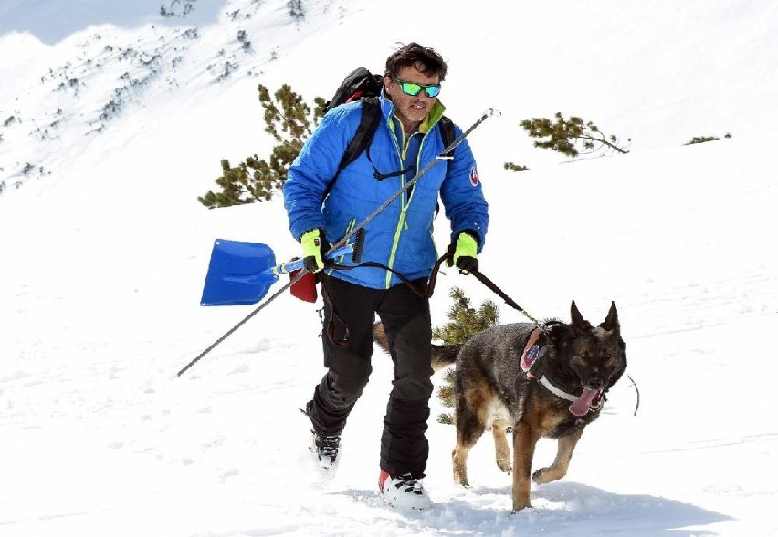 Słowacja: Psy górskie z całej Europy ćwiczyły w Tatrach [ZDJĘCIA]