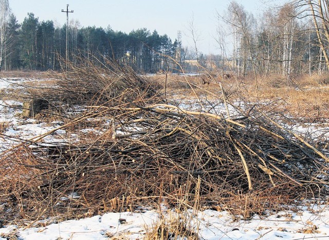 Według mieszkańców, pod topór poszło ok. 4 hektarów lasu