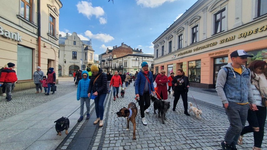 Pierwszy "Marsza adopciaków" w Nowym Sączu