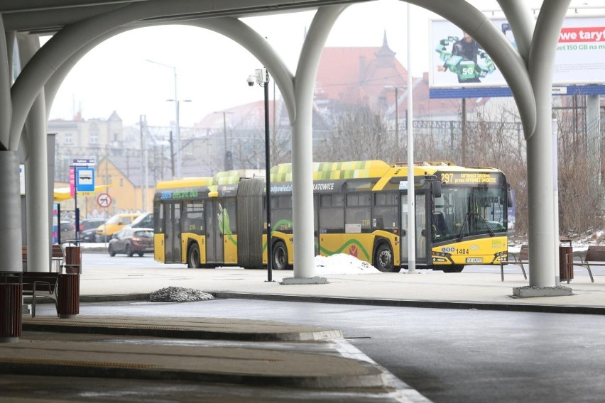 Sprawdź rozkład jazdy nowych linii autobusowych