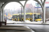 Nowe metrolinie powstaną na Śląsku - w Katowicach, Gliwicach i Piekarach. Zobacz rozkład jazdy M100, M104 i M28