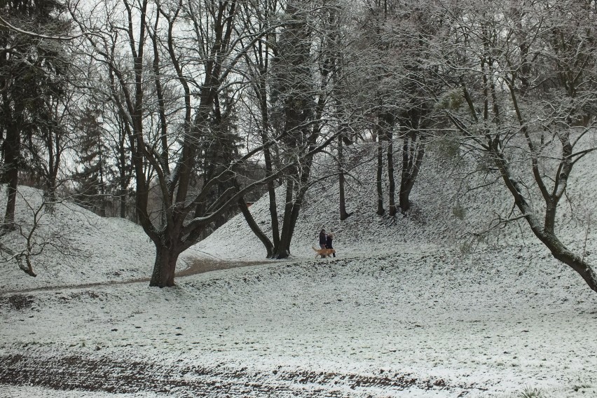 Zima na Lubelszczyźnie: sypnęło śniegiem, idzie ochłodzenie