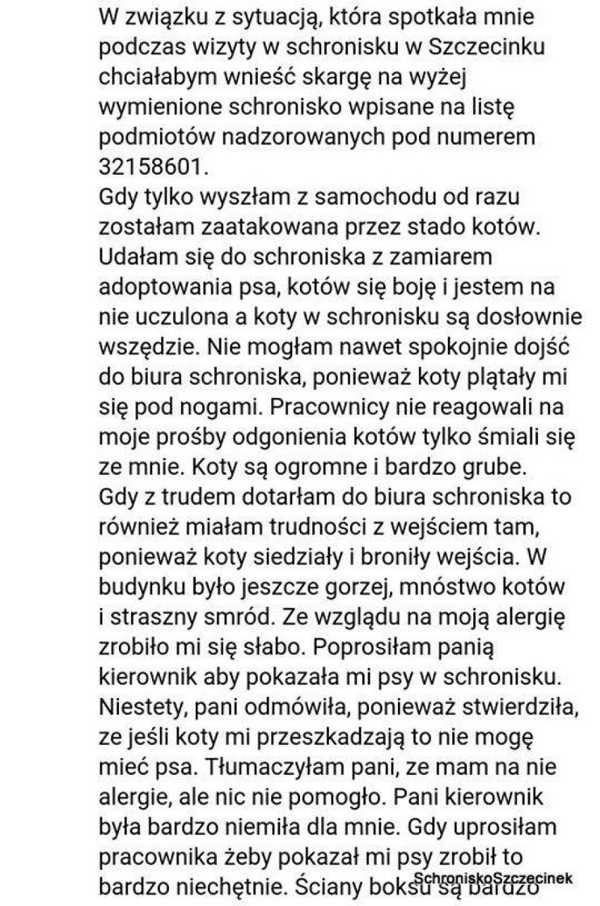 Donos na schronisko w Szczecinku: - Koty są agresywne, mogą się zdenerwować i napaść całym stadem na panią Kadelę