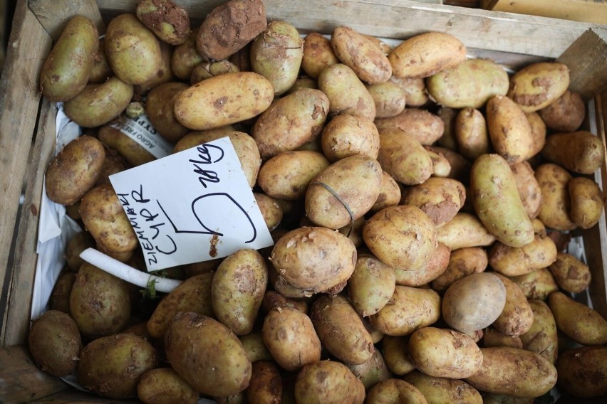 Ziemniaki w Broniszach 4.05.2023 kosztują 1,20-1,66 zł/kg.