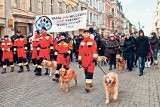 Marsz w obronie zwierząt