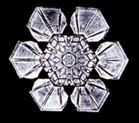 Źródło:http://commons.wikimedia.org/wiki/File:Snowflake2.png