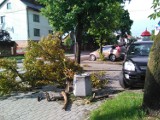 Połamane drzewa, zerwane dachy, domy bez prądu - to skutki nawałnicy w okolicach Bielska i Hajnówki