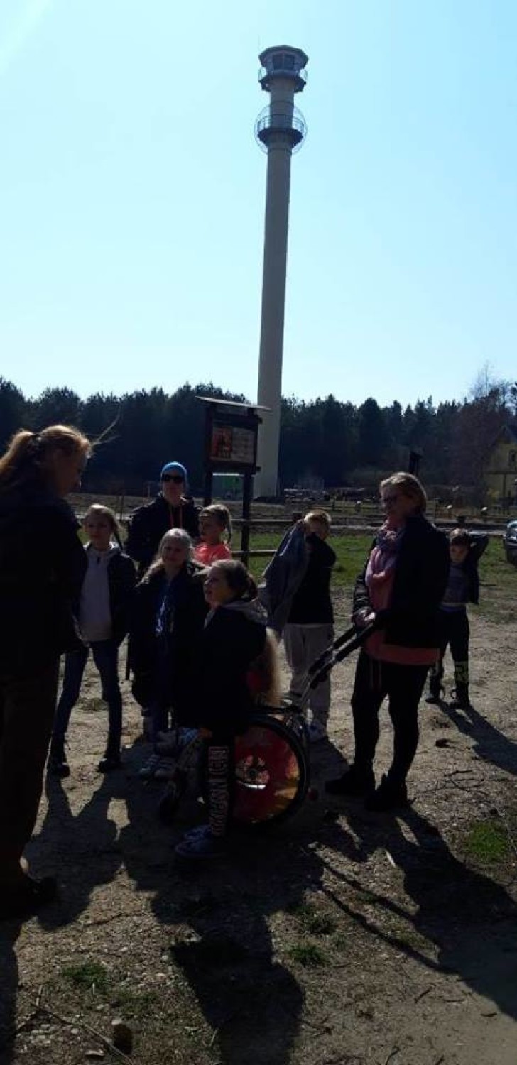 Przyrodnicze zajęcia w Chudaczewku. Poznali budowę lasu [ZDJĘCIA]