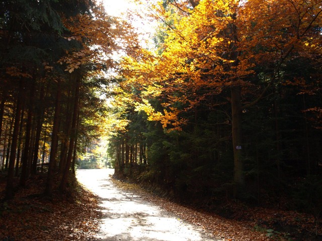 Jesień w Beskidach 2013