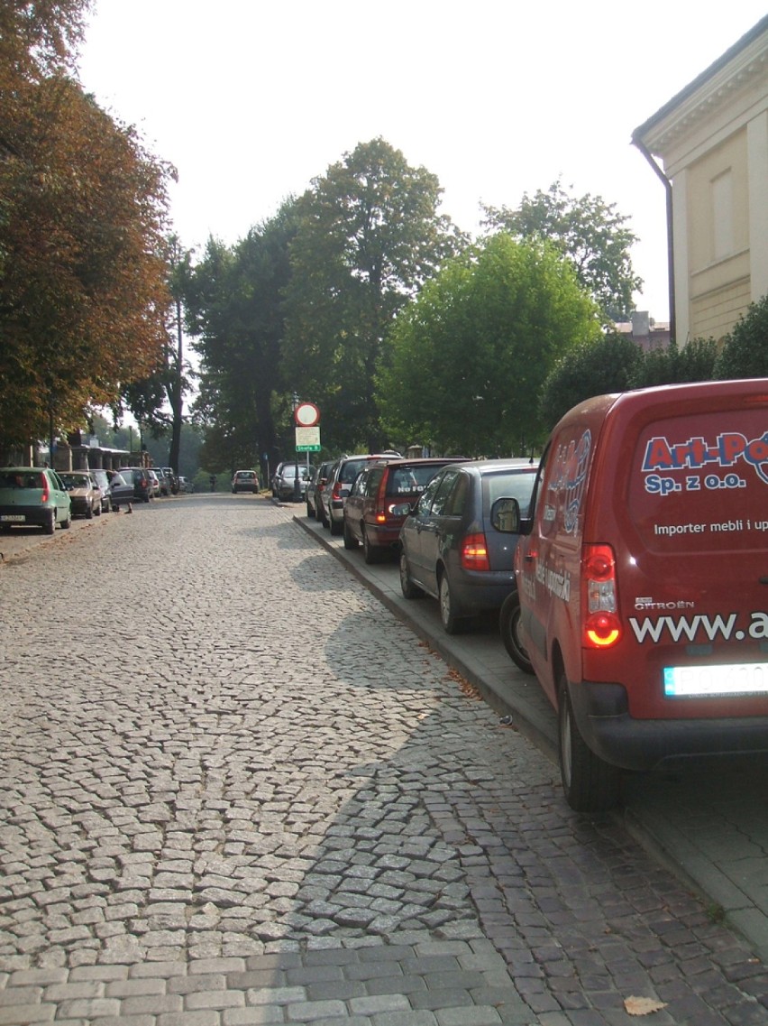 Trwa Dzień bez Samochodu w Rzeszowie