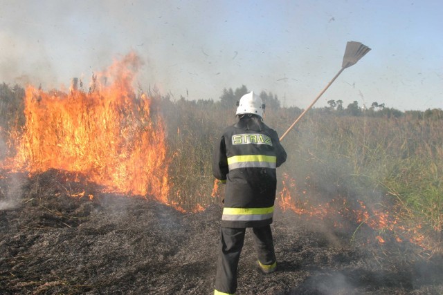 Akcja gaśnicza w czasie pożaru suchych traw