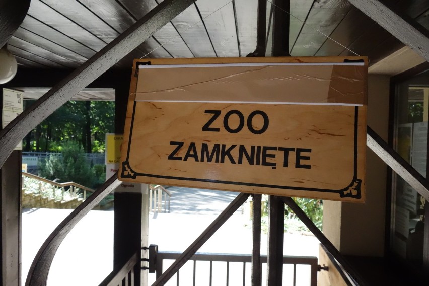 Ogrody botaniczny i zoologiczny są zamknięte aż do chwili,...
