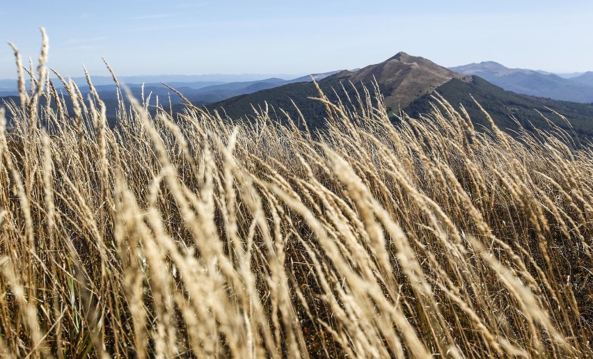 Wrzesień to idealny miesiąc na wycieczkę w Bieszczady. W...