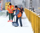 Akcja "zima" w Szczecinie: Drogi odśnieżone, tramwaje i autobusy bez opóźnień