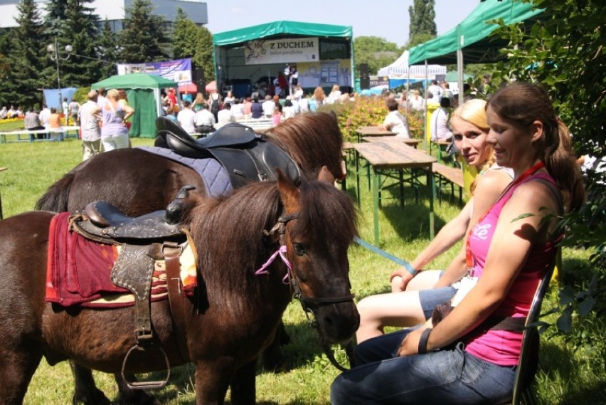 Festyn na Bytkowie