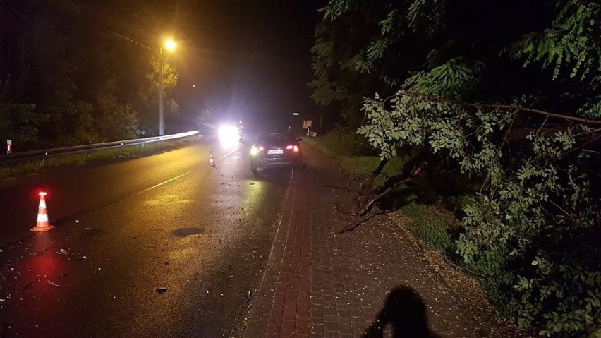 Trzy osoby w szpitalu. Drzewo runęło na auto, a w rozbity wóz uderzył kolejny pojazd
