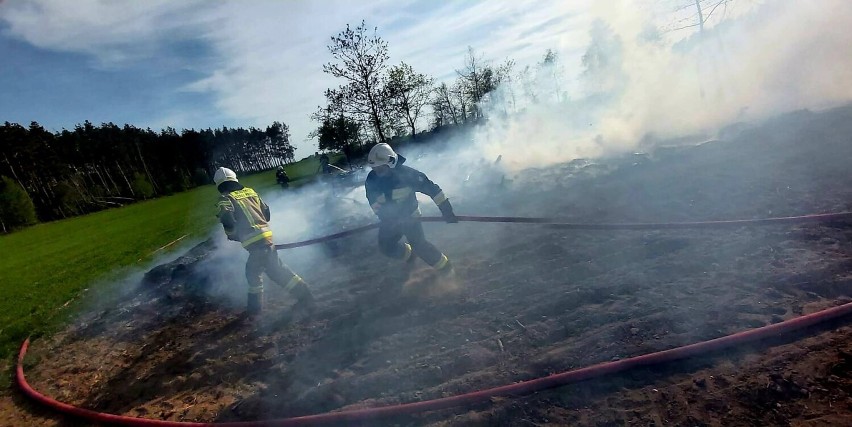 Pożar lasu między Wapnem a Damasławkiem. Na miejsce wysłano pięć zastępów straży