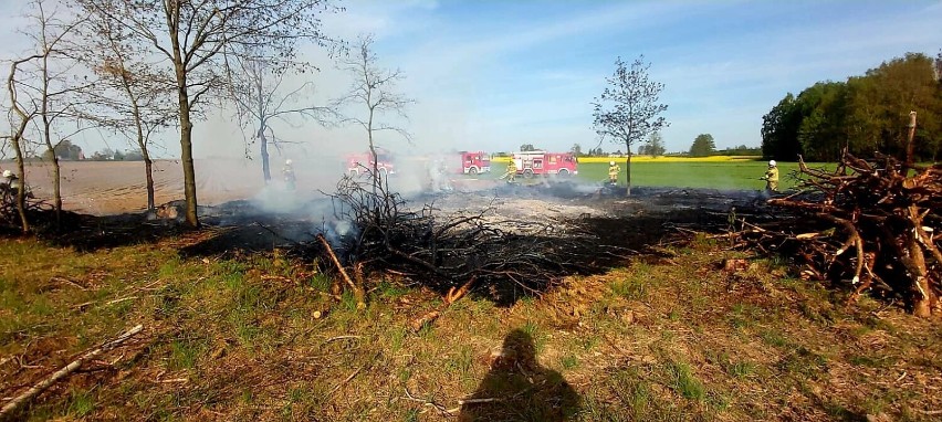 Pożar lasu między Wapnem a Damasławkiem. Na miejsce wysłano pięć zastępów straży