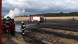 Kolejny pożar, tym razem w gminie Lututów. Paliło się zboże i prasa [zdjęcia]