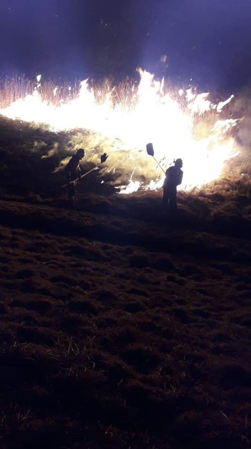 Łączany. Nocna walka strażaków z ogniem, ktoś podpalił trawę [Zdjęcia]