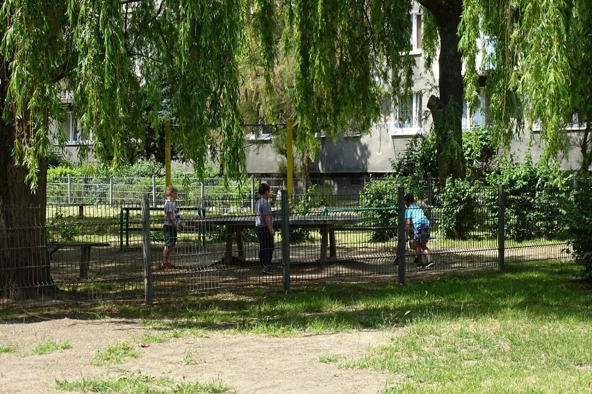 WSCHOWA. Place zabaw czekają na dzieci, są już otwarte, trawa wykoszona, pogoda zapewniona [ZDJĘCIA]