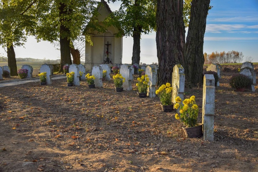 Cmentarz wojenny w Drohojowie koło Przemyśla po pierwszy...