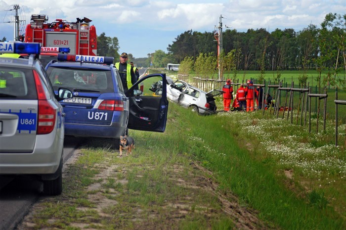 Wypadek na obwodnicy - szukamy Rabusia psa zmarłego mężczyzny