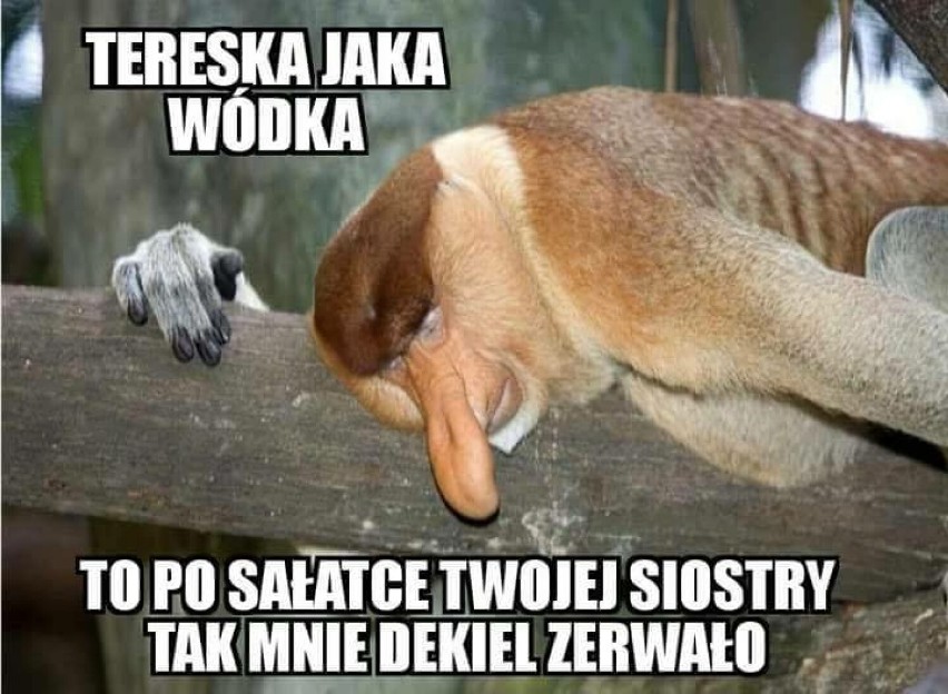 Zgodnie z polskim prawem alkohol mogą kupować i spożywać...