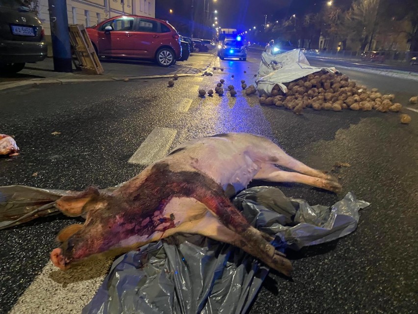 Protest rolników pod domem Kaczyńskiego. Martwa świnia, wysypane ziemniaki i kapusta