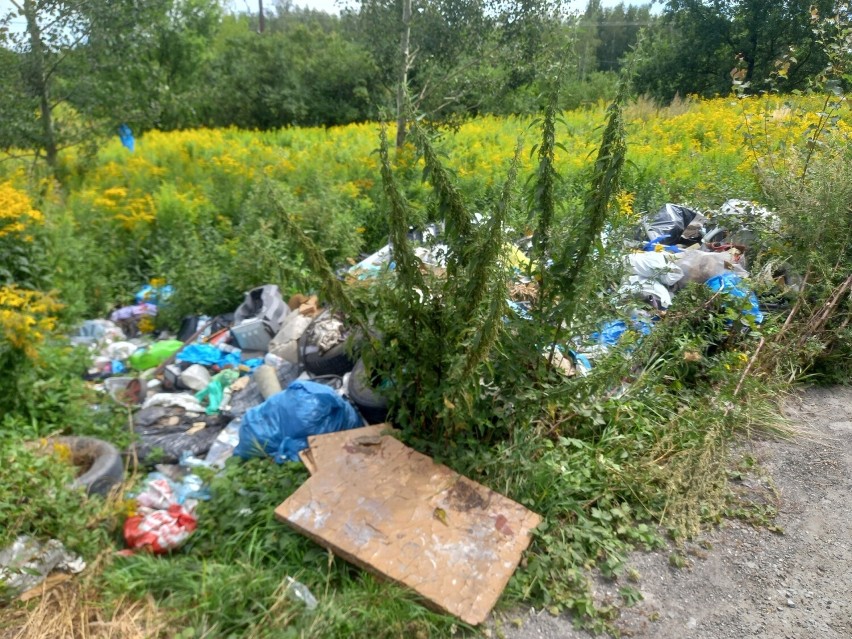 Na Kamionce takie widoki niestety nie należą do rzadkości