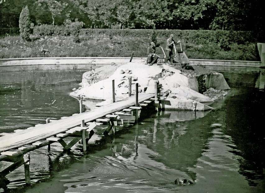 Budowa wyspy dla fok, rok 1969, fot. M. Siegieńczuk