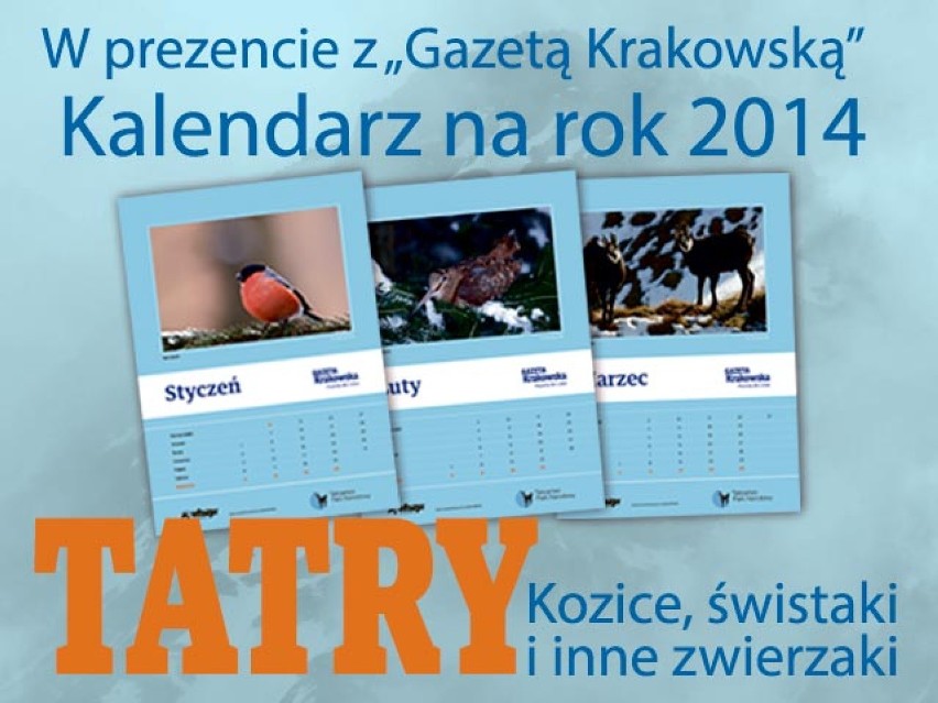 "Tatry, kozice, świstaki i inne zwierzaki" - zbieraj karty kalendarza z "Krakowską"