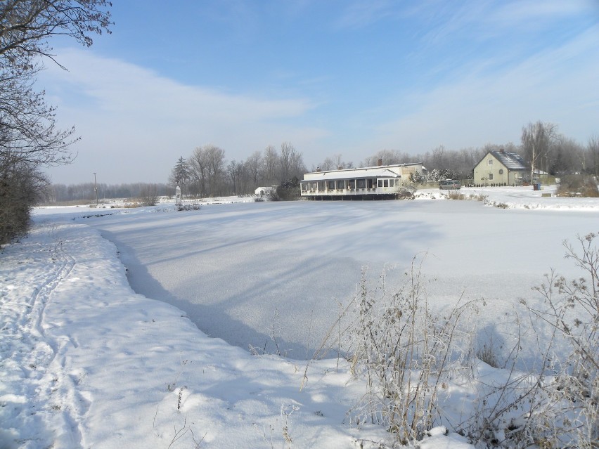 Powiat kaliski. Zobacz jak pięknie wyglądają podkaliskie wsie w śnieżnej odsłonie. FOTO