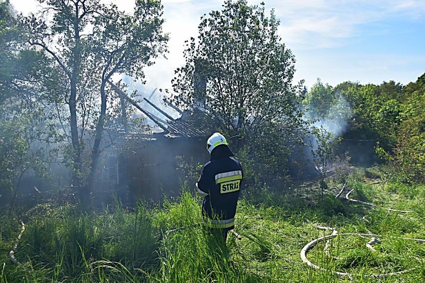 Pożar pustostanu na granicy Sędziszowej i Zborowic. Na...