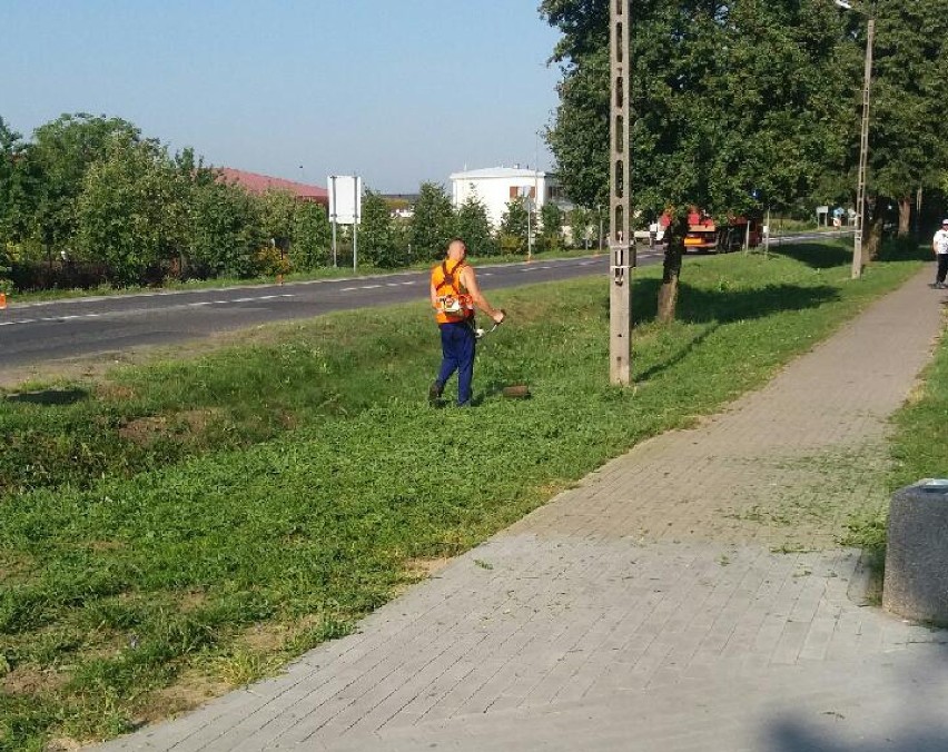 Gmina Września: Skazani porządkują teren miasta [FOTO]