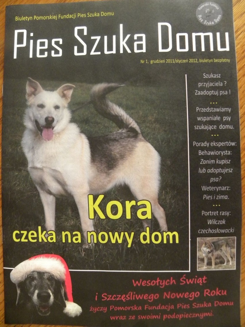 Okładka pierwszego egzemplarza biuletynu Pies Szuka Domu.