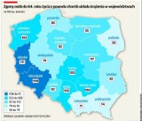 Choroby układu krążenia zabijają, ale Małopolska potrafi się bronić