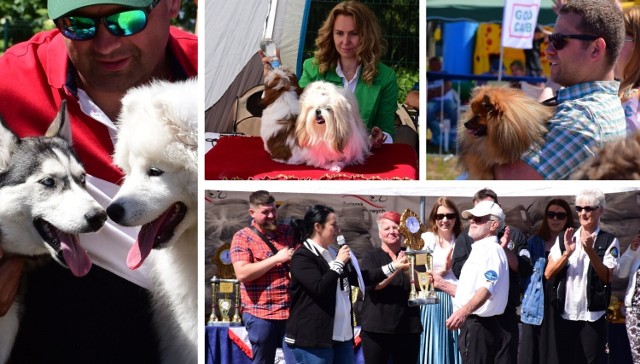 Na wystawie w Złotnikach Kujawskich zaprezentowano ponad 150 psów. Zobaczcie zdjęcia >>>>>
