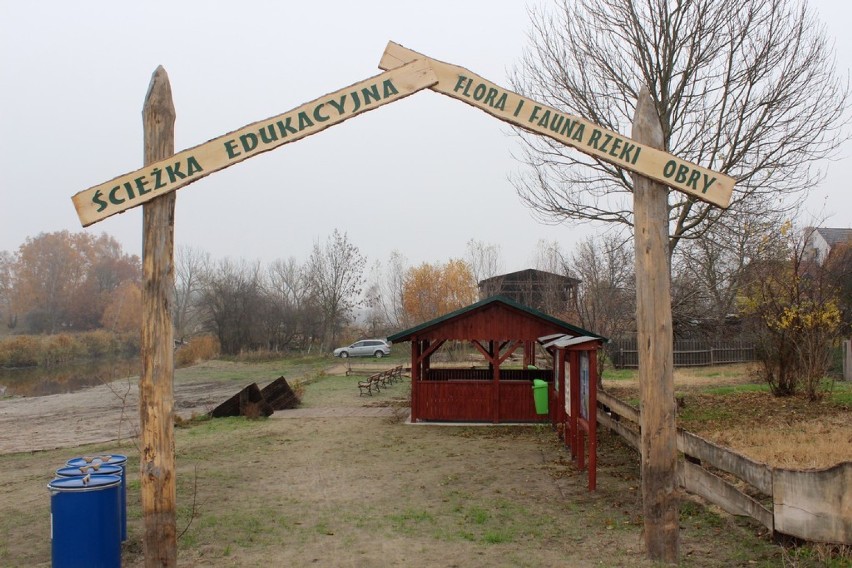 Strzyżewo. Ścieżka edukacyjna - Flara i fauna rzeki Obry