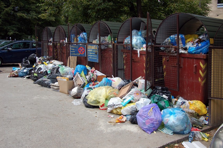 Kilka z pytań naszych Czytelników przekierowaliśmy do...