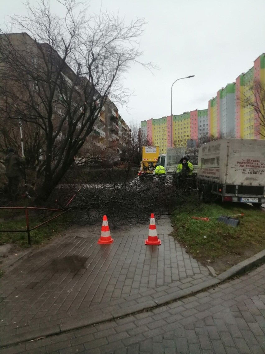 Mieszkańców zaniepokoił dźwięk piły mechanicznej przy ulicy...