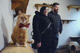 Kot Boniek z Bełchatowa znalazł nowy dom w stolicy [ZDJĘCIA, FILM]