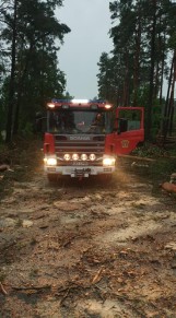 Strażacy z Bartoszegolasu w gm. Stara Kiszewa ewakuowali obóz harcerski podczas burzy [1.07.2022 r.] [GALERIA]