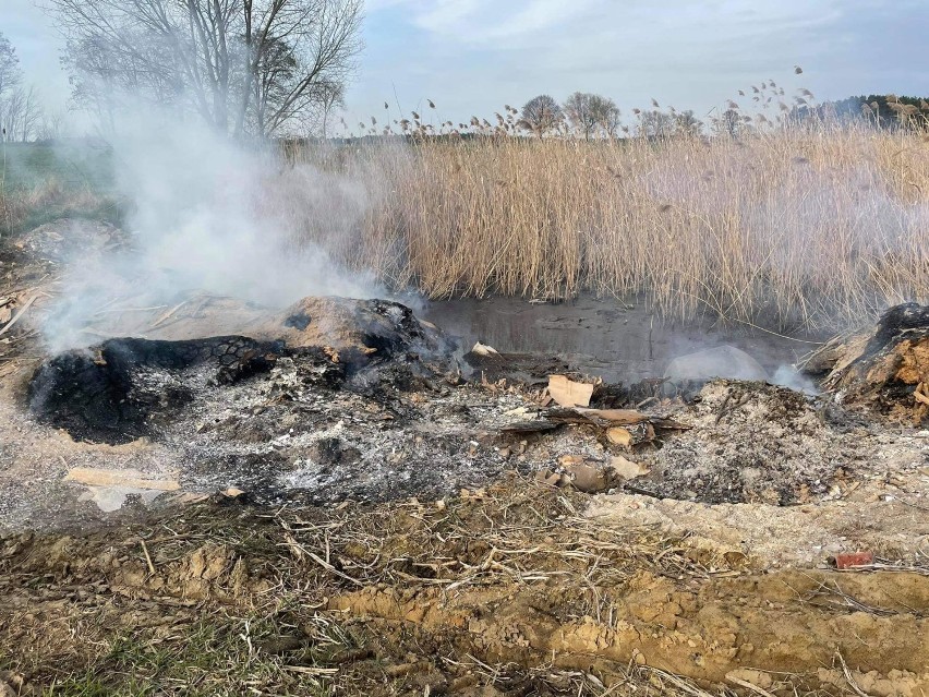 Nadal płoną łąki w powiecie chodzieskim. Najwięcej pożarów przy Noteci, w gminie Szamocin, a także w gminie Budzyń