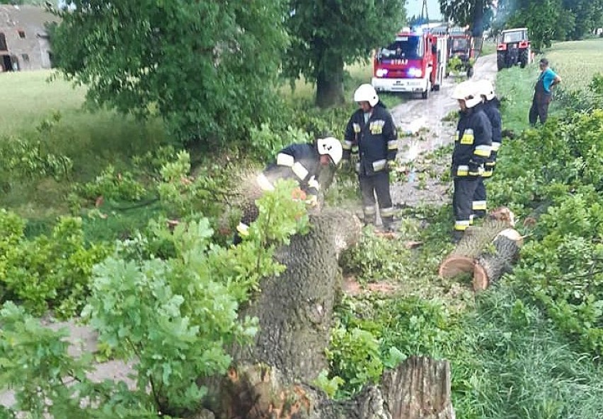 Strażacy z Pruszcza usuwali drzewo na drodze...